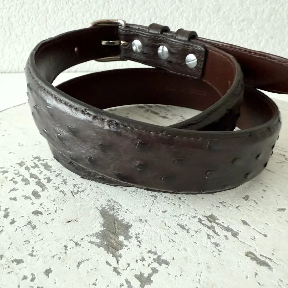 Rod Patrick Mens Full Quill Ostrich Leather Belt Dark Brown 1.25” Tapered Sz 30